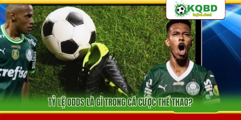 Giải mã định nghĩa tỷ lệ odds trong các sảnh cược thể thao