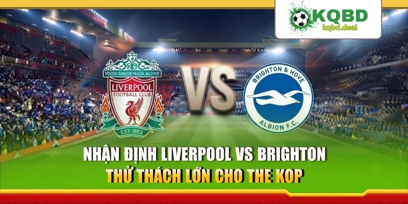 Nhận định Liverpool Vs Brighton - Thử Thách Lớn Cho The Kop